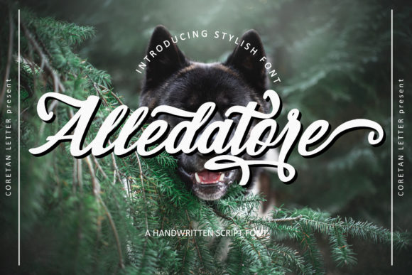 Alledatore: A Magical Script Font for Business