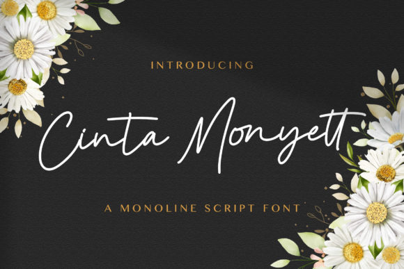 Cinta Monyett: A Playful Script Font