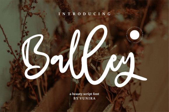 Use Balley for a Beautiful Web Font